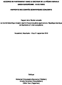 Icon of 2018-10-05 CSC Mauritanie 2018  Rapport Final DRAFT 1